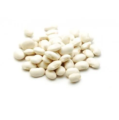 Cheap Wholesale Top Quality white kidney Beans In Bulk White Kidney Beans Hot Selling Organic Dry White Kidney Beans