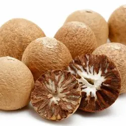 Good Quality Wholesale Betel Nuts