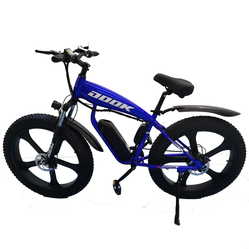DOOK ebike пляжный Электрический горный велосипед 1000 Вт 48 В внедорожный толстый электрический мотоцикл для снега