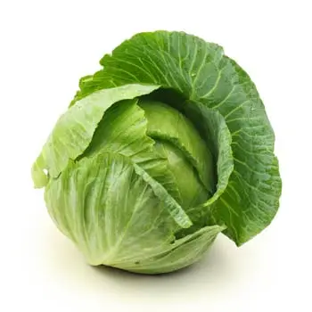Buy 100%/High Quality New Crop Fresh Cabbage at cheap price