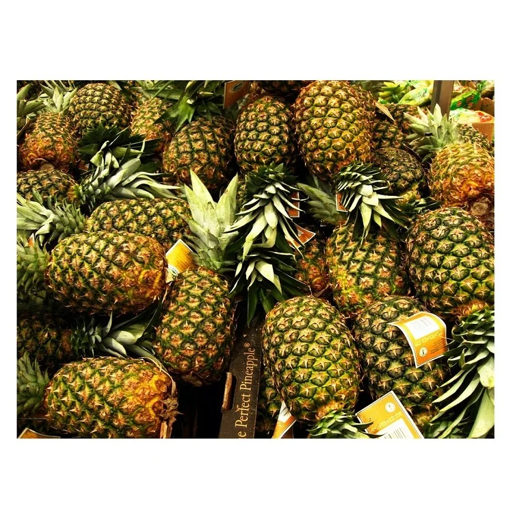 Wholesale Supplier Golden Fresh Pineapples Grade Fresh Pineapple Fresh Sweet Pineapples