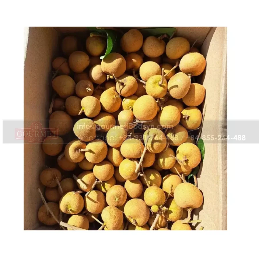 Свежие фрукты Longanfruit longan сушеные из Вьетнама лучшего качества