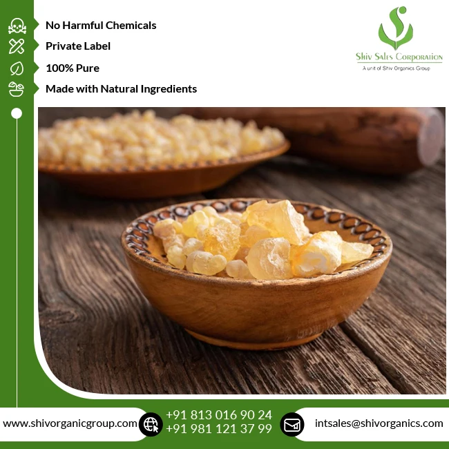 Highest Quality Wholesale Supply Pure and Natural Therapeutic Grade Boswellia Serrata Herbal Extract from Indian Exporter