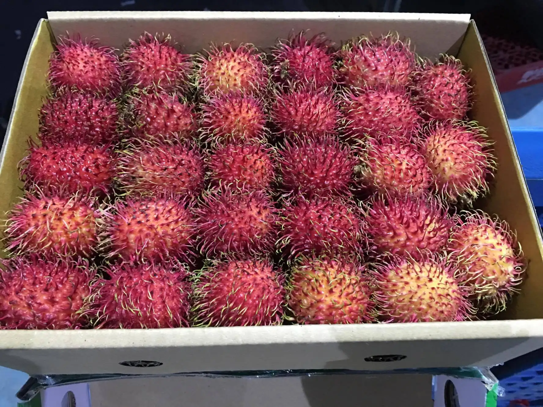 Поставка замороженных фруктов Rambutan нефелиум лаппацеум быстрая доставка Мисс Софи