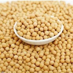 Высококачественные сушеные вакуумные NON-GMO соевые бобы доступные продукты без ГМО желтые