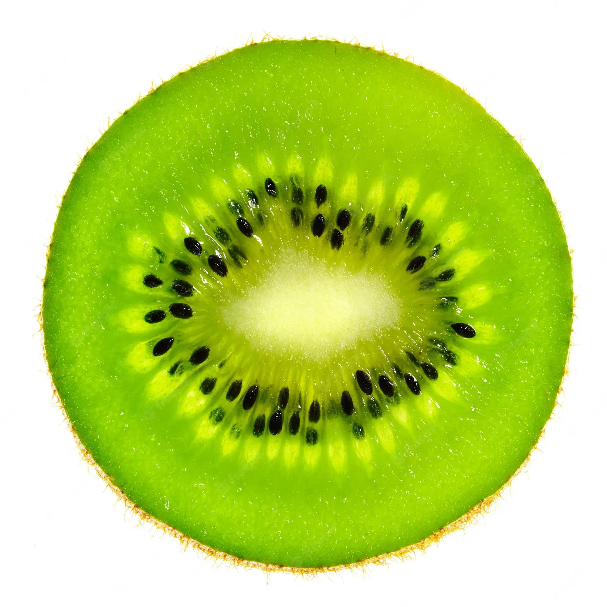 Best price organic fruit Fresh Kiwi for sale