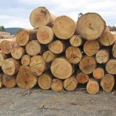 Лидер продаж, эвкалиптовая древесина, круглые бревна