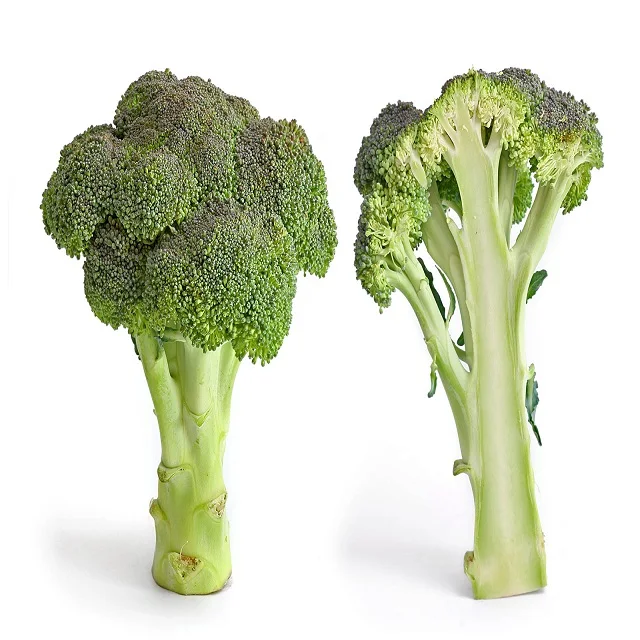 Fresh Broccoli / Wholesale broccoli packaged carefully and Quick response