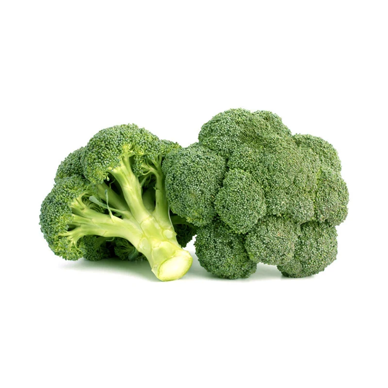 Most Selling Organic Fresh Vegetables Newly Cultivated Crop Fresh Broccoli