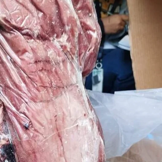 100% Processed Frozen Beef and Bufalo Meat. Frozen Beef Meat Halal Frozen Boneless Muscle Beef