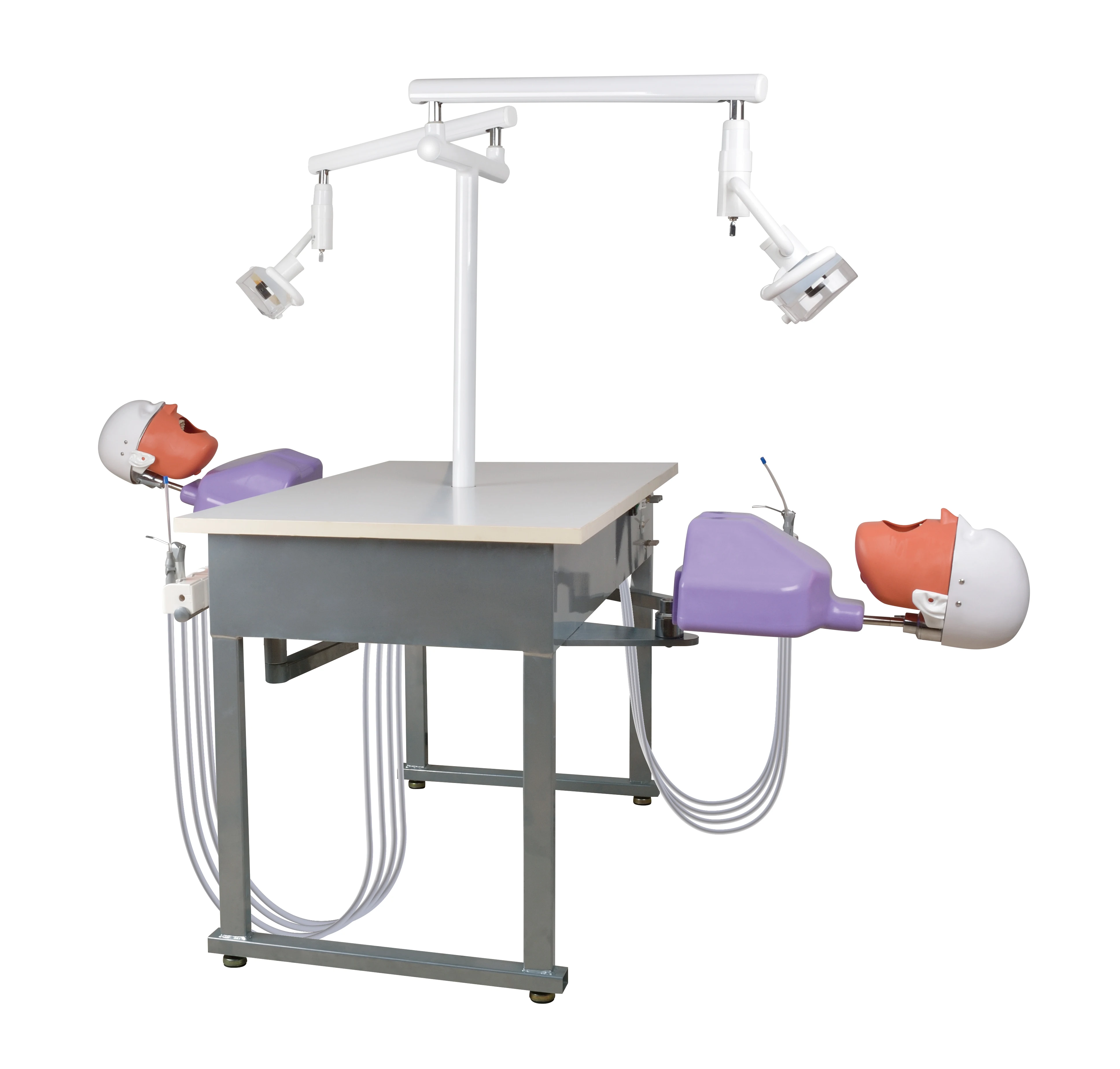 manikin dental phantom head dental simulator for training practice dental phantom head dental simulator