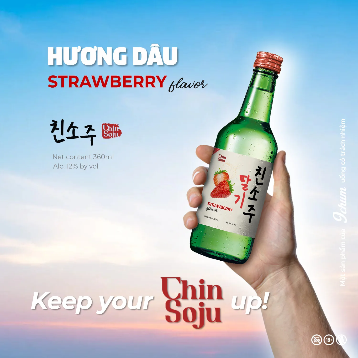 CHIN SOJU Korean Soju 360ml high quality manufacture cheap price whole sale soju OEM service highly recommended