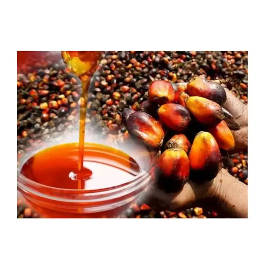 High Quality Refined & Crude Red Palm Oil /Palm Nuts oil/ Refined Palm Vegetable Cooking Oil for Sale