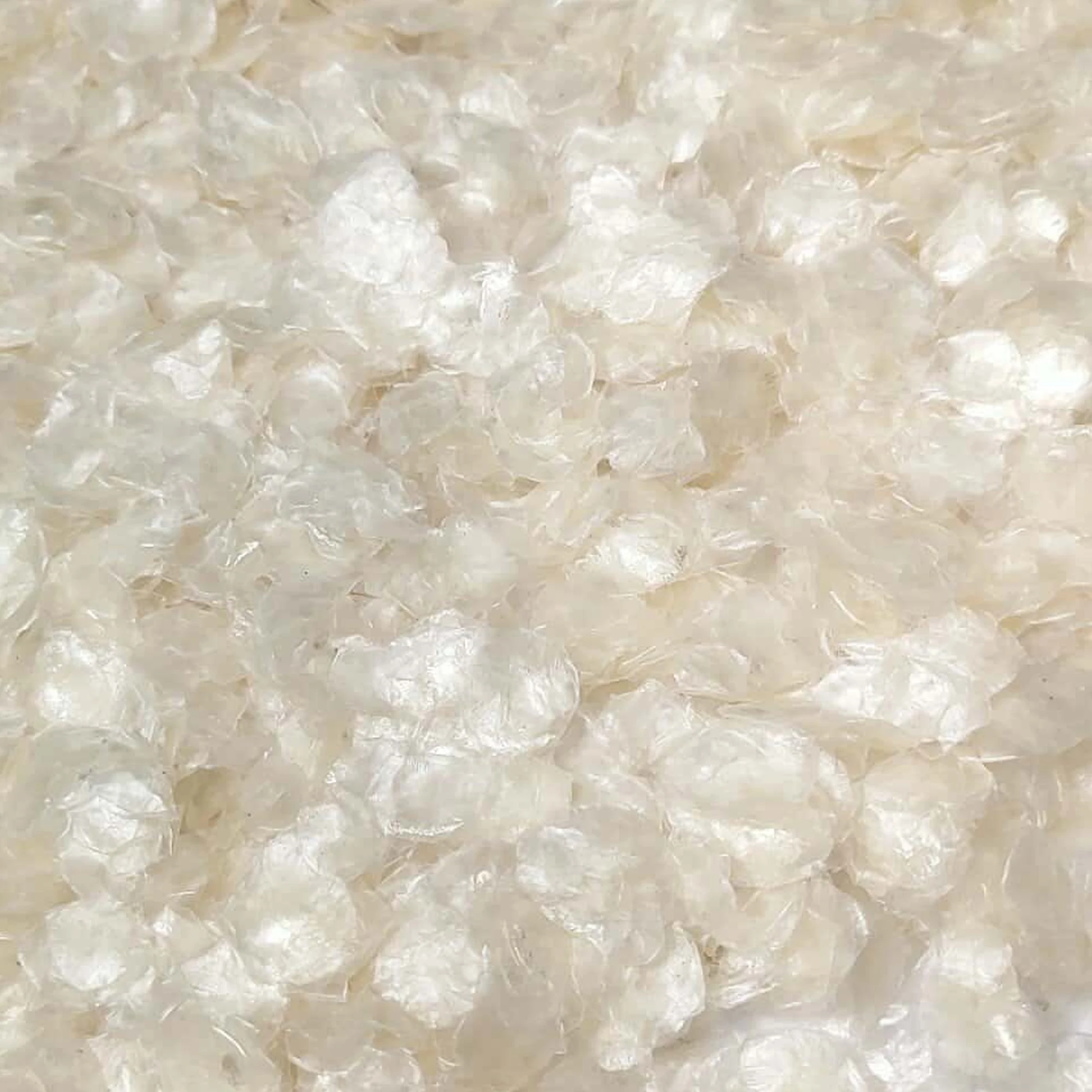 Premium Quality Export Oriented Wholesale Special Seafood Dried Fish Scale Custom Package Tilapia Fish Scales From Bangladesh