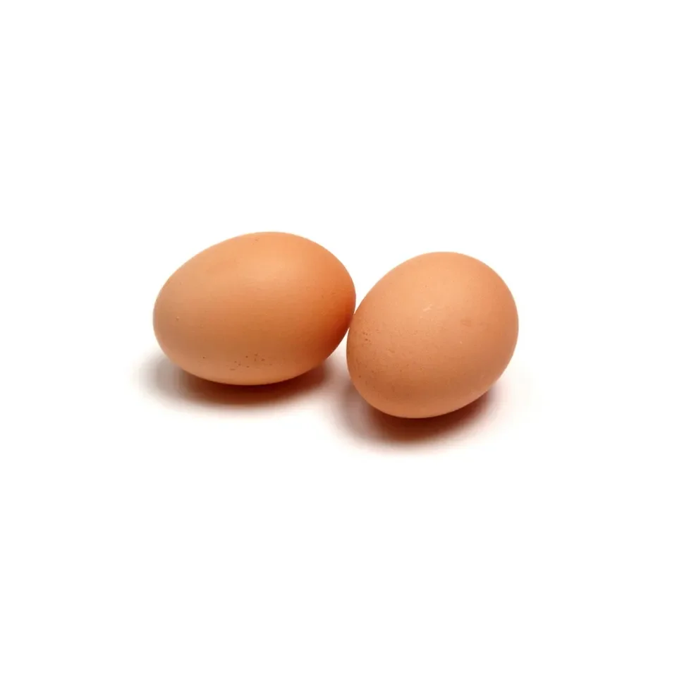 Fresh Table Eggs For Sale Fresh Brown Table Chicken Eggs in Bulk .
