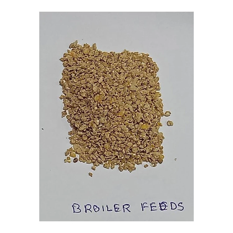Broiler Chicken feed/broiler feed supplement