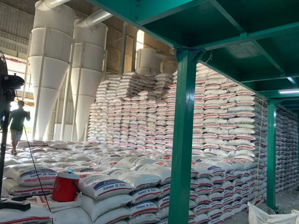 Best quality Long Grain white Rice Thailand Price Jasmine Rice / Long Grain Fragrant Rice / white rice Long Grain White