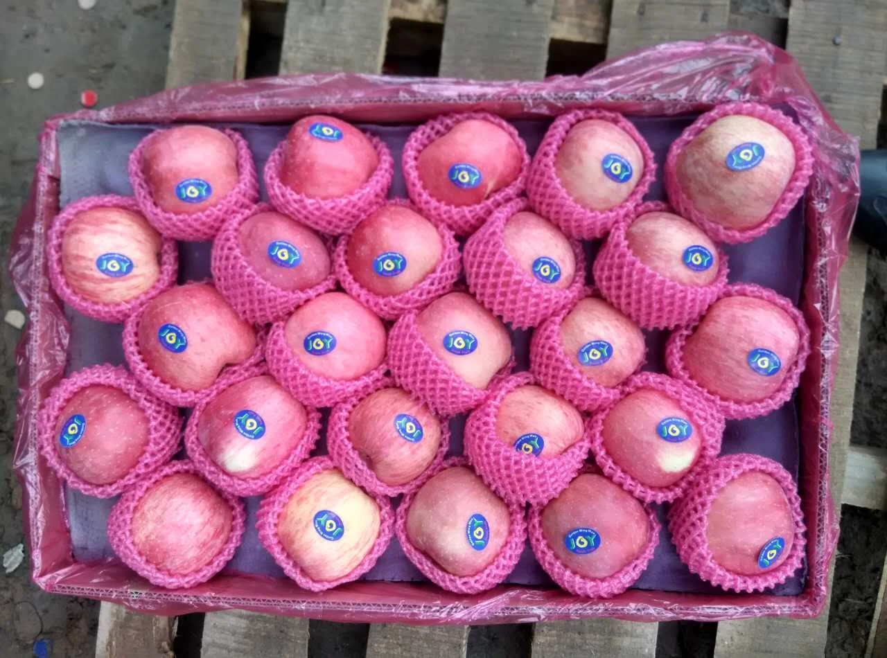 Quality  New Crop Natural Red Fuji Apple