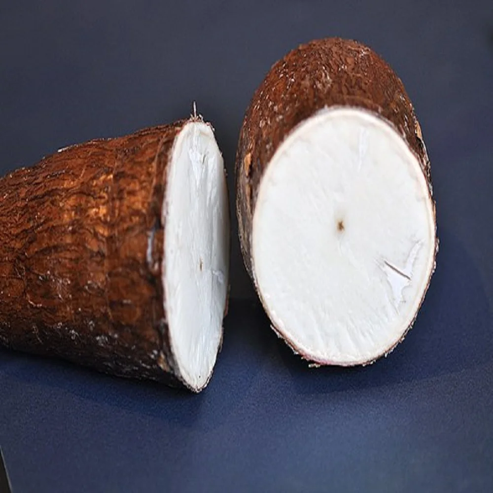 Ghana Natural Cassava Ready  to sale