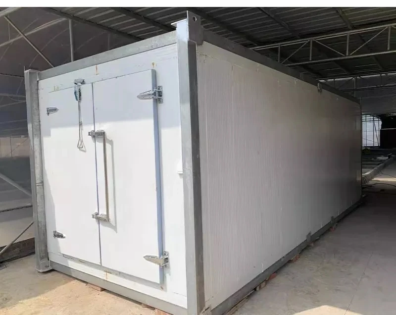Food Warehouse Storage Cool Room, Chiller Room, Cold Room Freezer