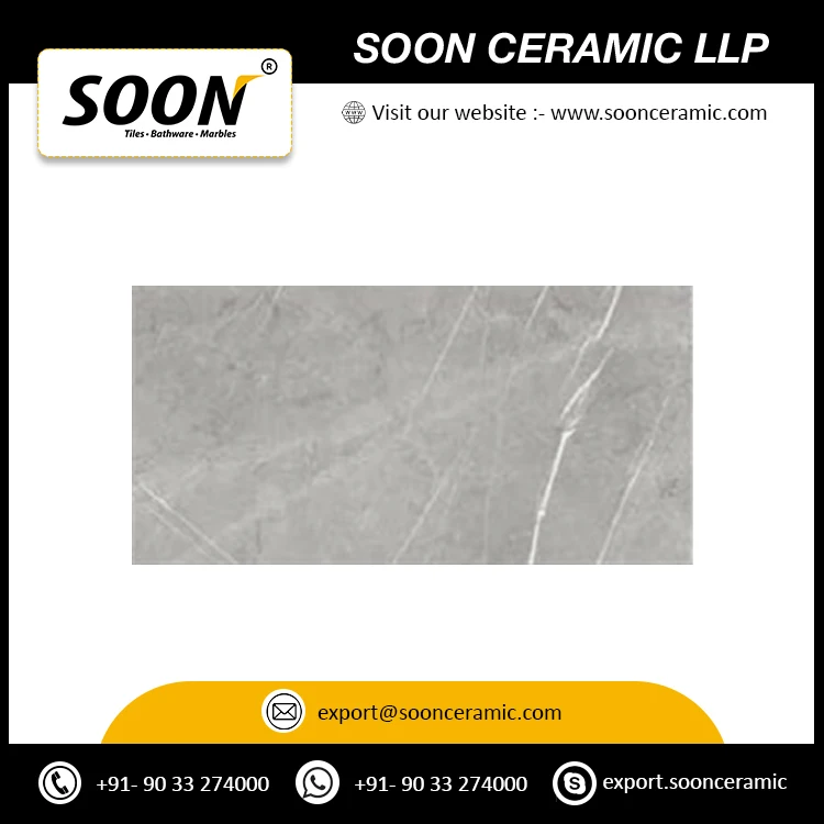 Direct Factory Supply 300x600mm Porcelain Tiles for Indoor and Outdoor Wall Decoration Amaze Lux Wall Tiles