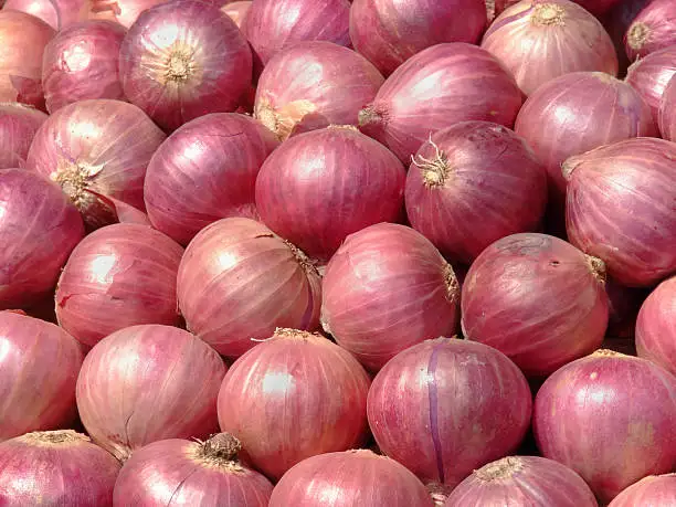 Wholesale Fresh Onion/ Onion High Quality A Grade with Cheap Price in customized packaging imported onion from Pakistan