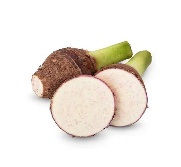 Fresh Cassava / Tapioca / Manioc / Yucca Roots