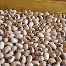 Чистые натуральные органические бобы черного глаза cowpea виноградные доступны высокое