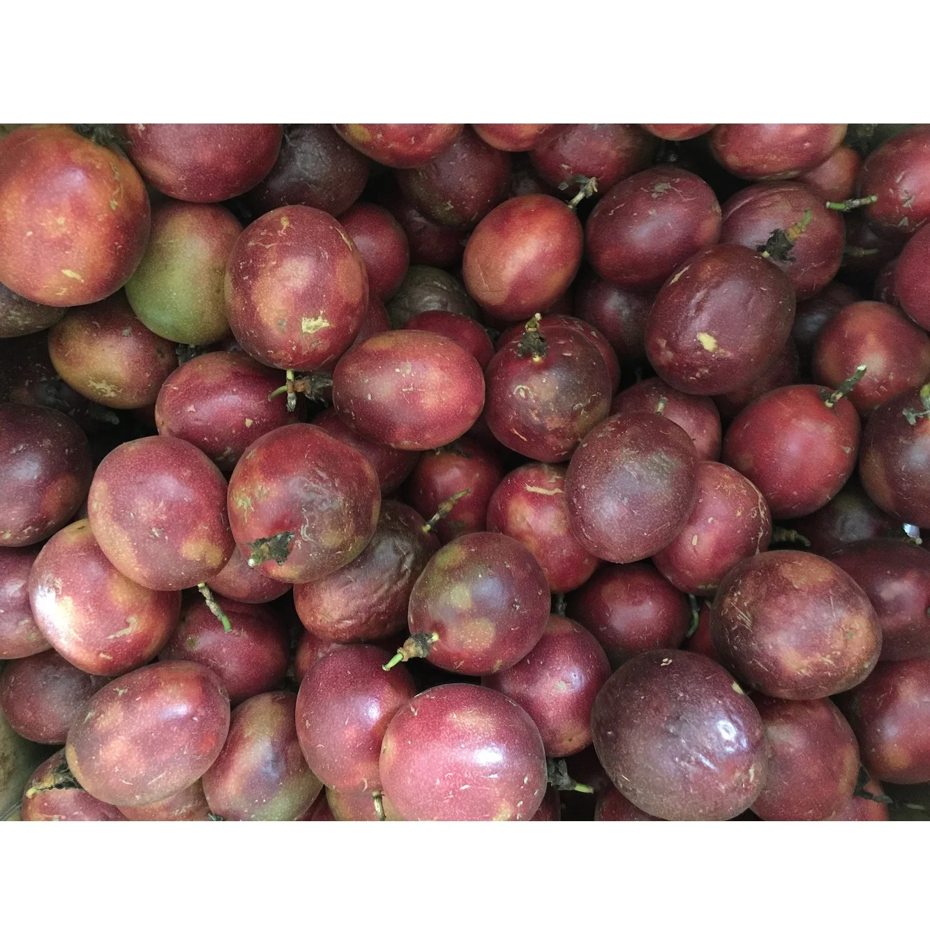 Organic Box Bulk Fresh Naturally Taste Natural Flavor Normal Feature Frozen Passionfruit Puree Seed-out