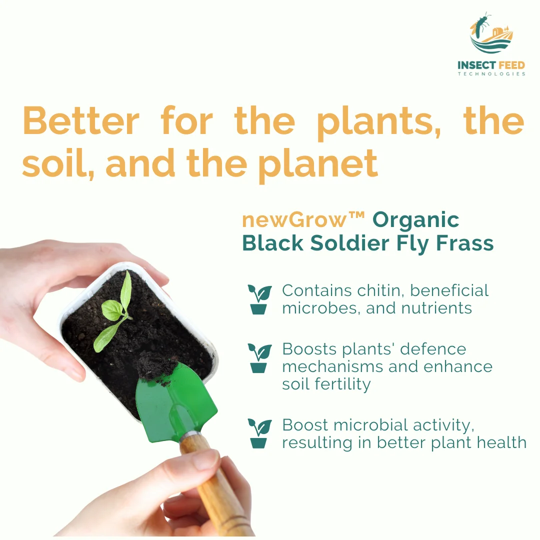 Sustainable Natural All Type Soils Wholesale Agriculture Fertilizer Black Soldier Fly Organic Fertilizer (Frass) pH 6 to 7