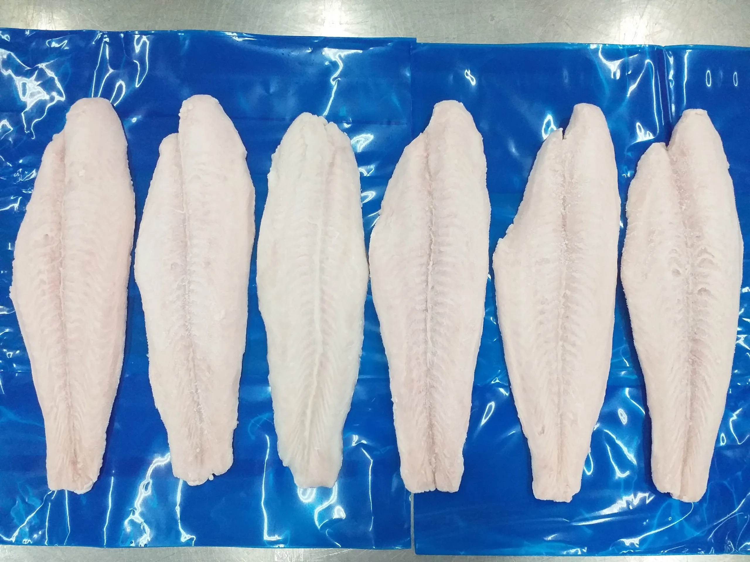 Premium Frozen Pangasius Portion - Top Vietnam Wholesaler seafood Frozen Fish Fresh Tilapia Supplier Block Bulk Style Packaging