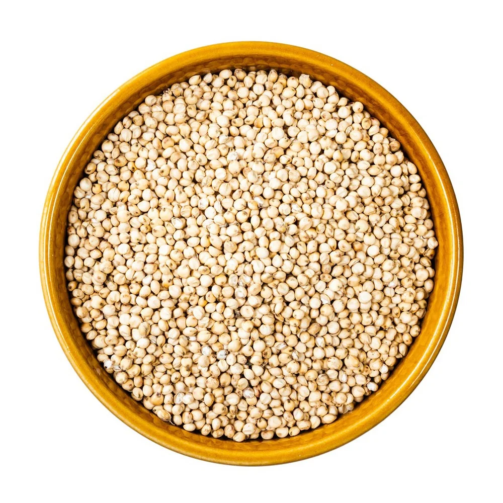 White Milo Sorghum Grains Sorghum Price Per Ton Grain sorghum best quality looking for bulk buyer