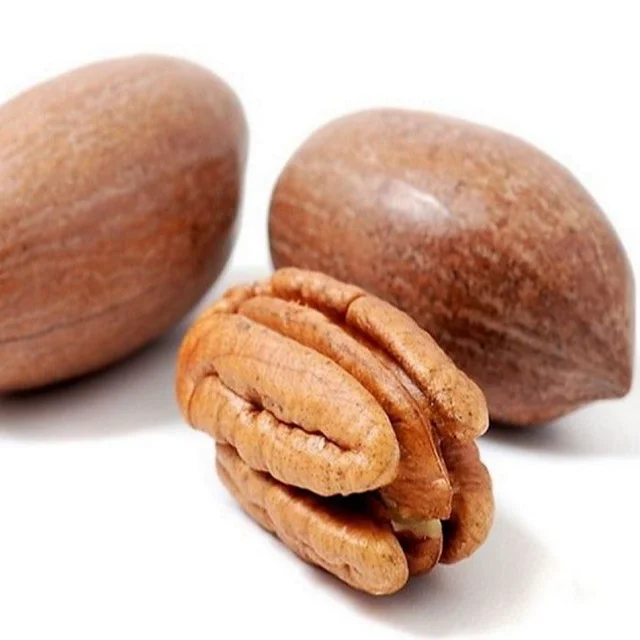 High Quality Fresh Harvest Pecan Nuts Wholesale Processing High Quality Cheap Pecan Nuts For Sale