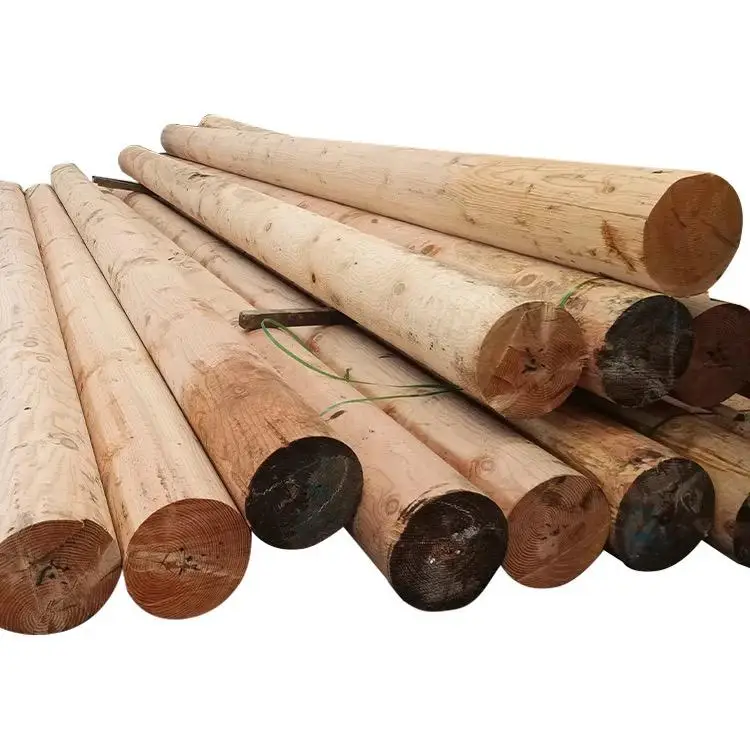Cheap Price Eucalyptus for Wholesale High Quality Eucalyptus Logs for Sale At Low Prices