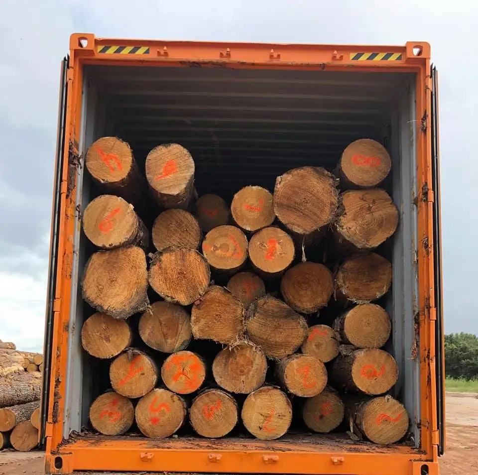 High Quality Round Teak Wood, Tali Wood, Padouk, Pine, Boxwood, Azobe Wood and Timber Logs Canada