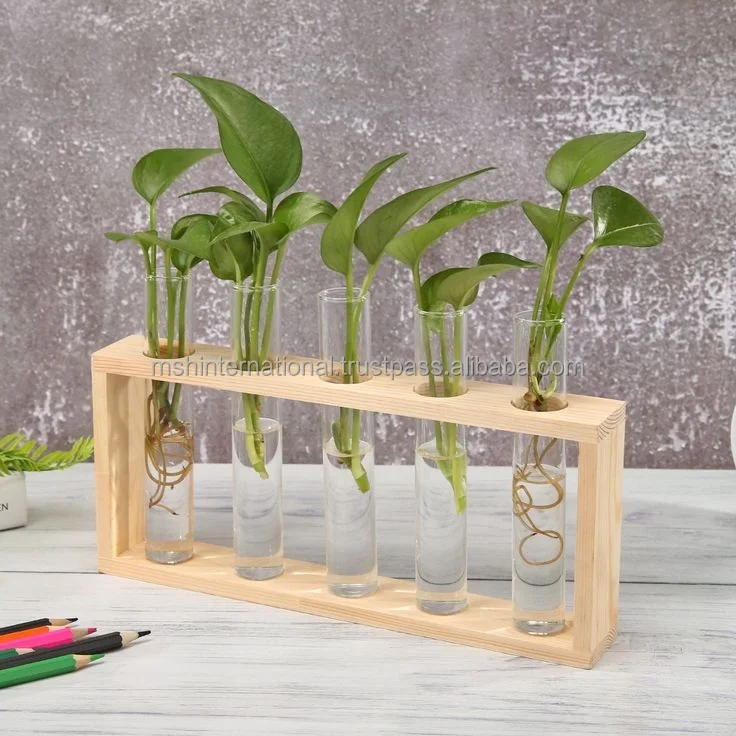Creative Hydroponic Plants Office Desktop Ball Vase Wood Stand Ornaments Hanging Glass Vase
