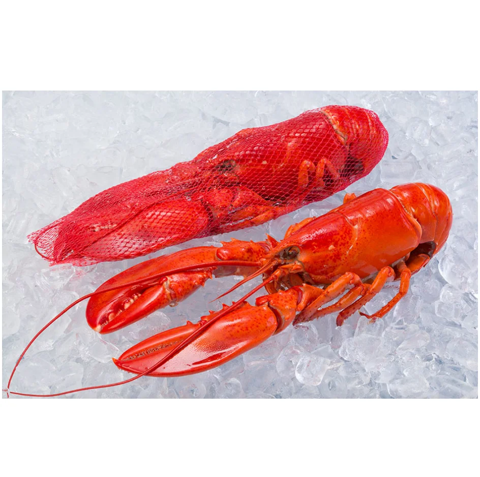 Live Lobsters Frozen Lobster Tails / Live Lobster For Sale Lobster Tails Wholesale / Live Lobster Price