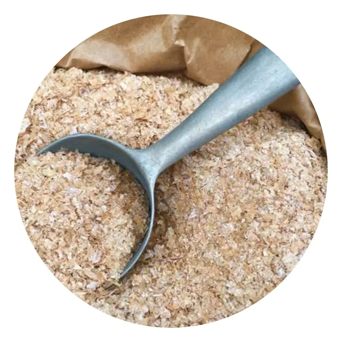 Wholesale Barley wheat for Animal Feed Poultry, Animal Feed Wheat and Wheat Bran
