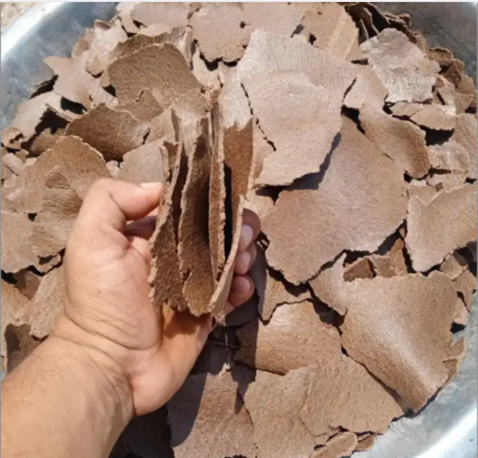 Top Quality Groundnut Oil Cake, Peanut Cake