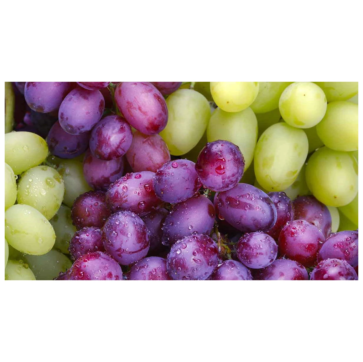 Quality  Seeded Fresh Red Grapes High Quality Best Price Fresh Sweet Seedless Seeded Black Green Red Grapes for Sale Fresh
