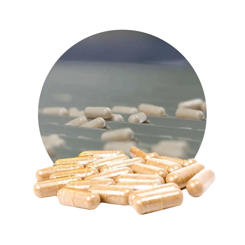 Malaysia Manufacturer 200mg Tongkat Ali Extract Supplement Pills 1 Capsule Per Day Packed in Bulk Bags