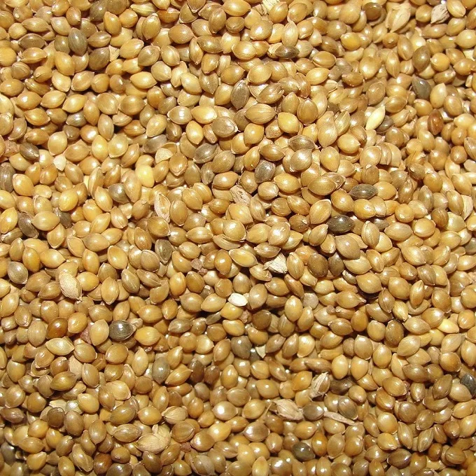 wholesale Grains and Flour  Type: Millet  Color: Red  Glutinous: Glutinous  Style: Dried  Drying Process: AD  Cultivation Type: