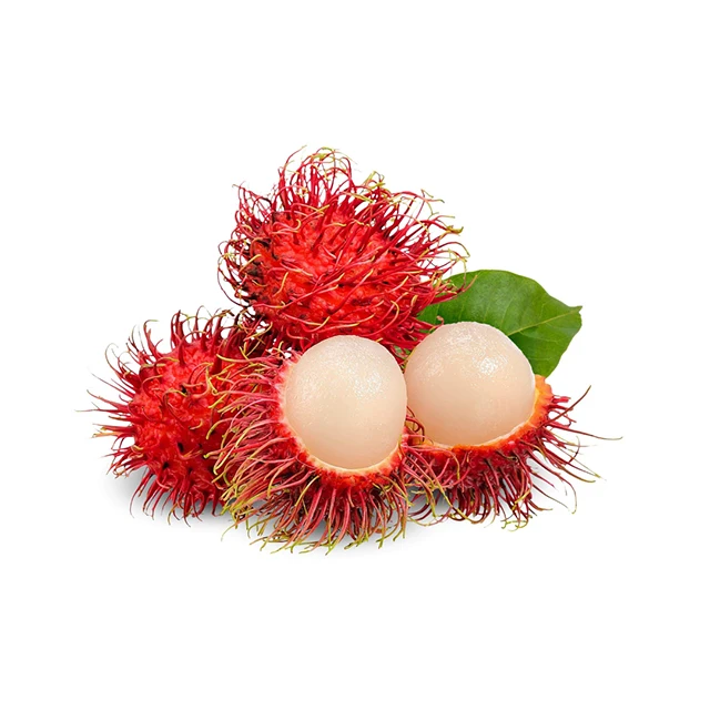 Rambutan Fresh Style GlobalGAP Grade Tropical Fruits Vietnam 100% High Quality Ready To Export