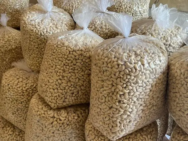 Great quality cashew nuts in bulk, cashew