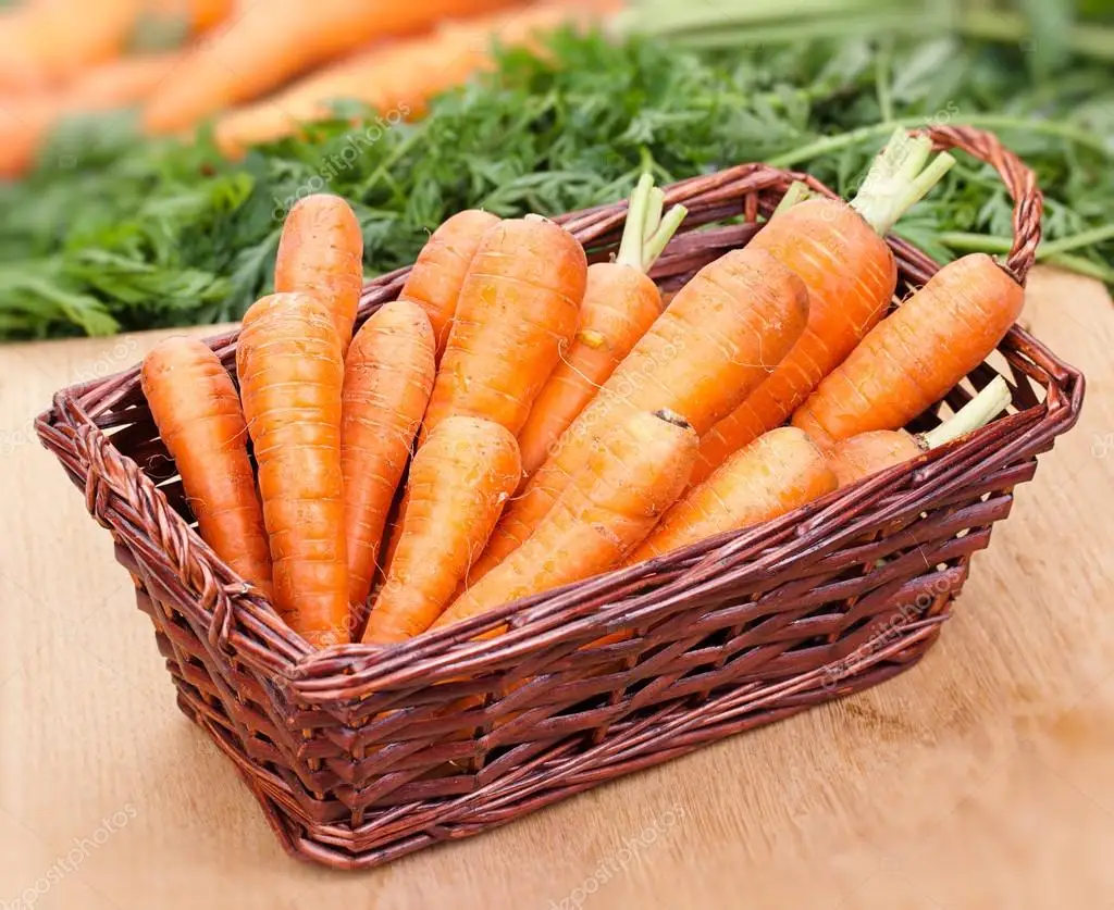 Carrot fresh organic carrots high quality in carton S M L professional export fresh carrot hot sale