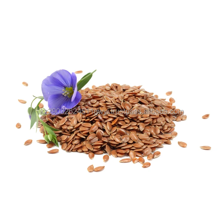 Kazakhstan Manufacturer Oil flax seeds high quality enriched grains for animal feed best product 2022