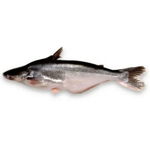 basa-fish-500x500 (1).jpg