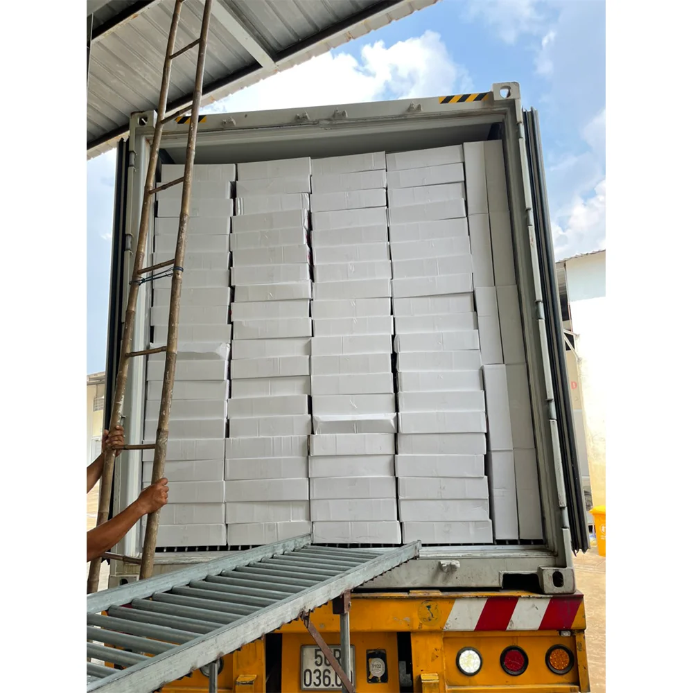 Made In Vietnam - Dried Anchovy Fish Dried Anchovies Packaging Organic Different Size Weight Customizable