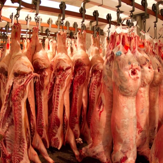 HIGH QUALITY FROZEN PIG PORK MEAT BELLY / READY FOR SHIPMENT