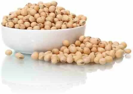 Soya beans Fresh Stock Wholesale Price High Quality
